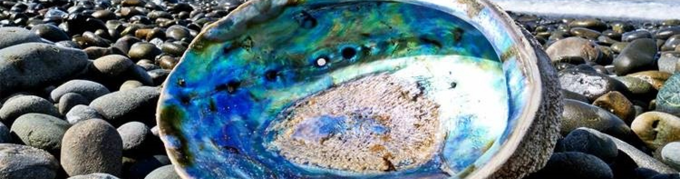 What is Mother of Pearl? Everything You Need to Know